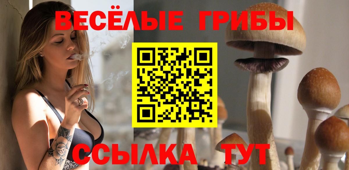 Галлюциногенные грибы Psilocybine cubensis  Вход с VPN  Сухой Лог 